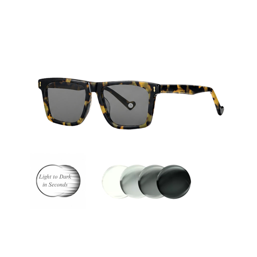 JS809 Motorist